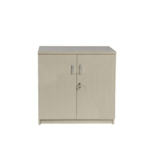 Tủ hồ sơ dáng thấp - DL5914